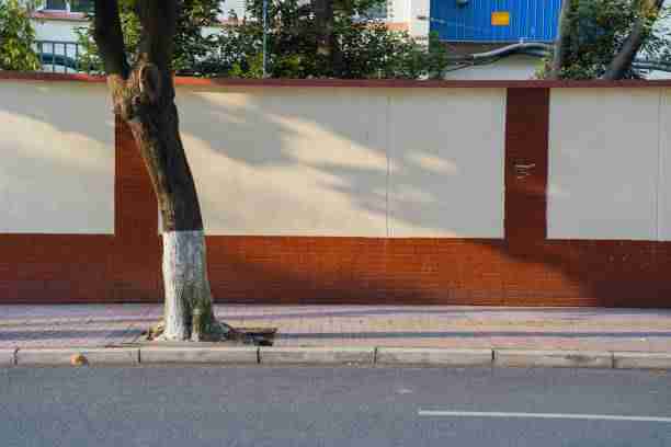 互动玩法!每日大赛黑料冷门宝藏红与黑