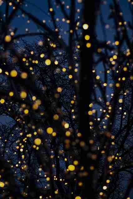 海角网深度解析:IP 进阶警示录