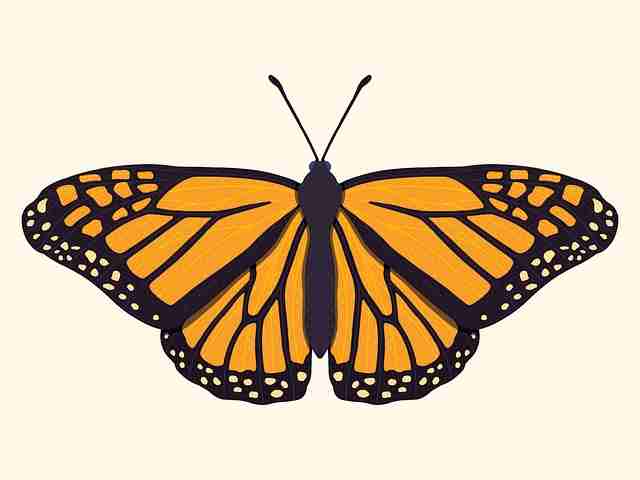 内容生态!觅圈电脑版增长黑客全解